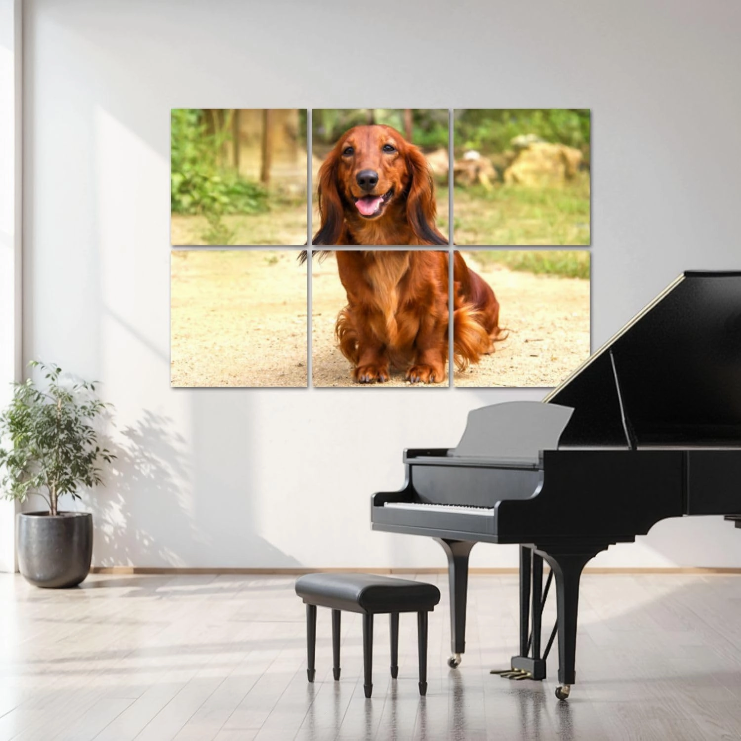 6 Pack Art Acoustic Panels Portrait dog breed long haired Dachshund bright red color open air Sound Absorbing Panel 48"x72" Soundproof Wall Panels Acoustic Wall Art for Studios, Office, Theaters
