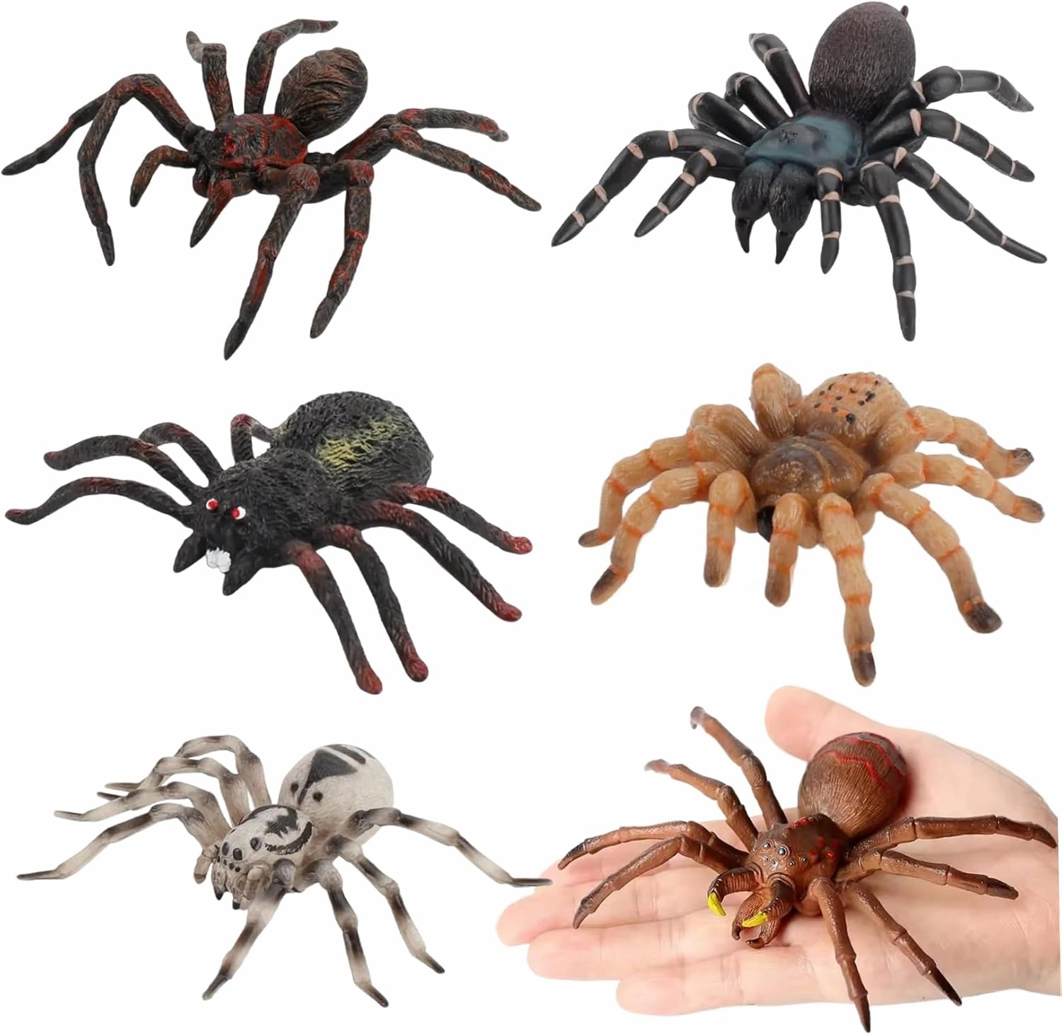 6PCS Realistic Animal Figures, Fake Spider Tarantula Toy Figure Action Models, Educational Learning Realistic Spider for Boys and Girls, Halloween Prank Props Party Supplies Animal