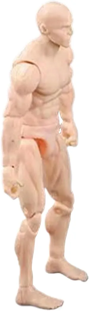 Action Figure Body, 4.1 Inch PVC Blank Action Figure, DIY Poseable, Collectible Painting Drawing for Exhibition, Play, Modeling, Scene Play, Skin Color/Male