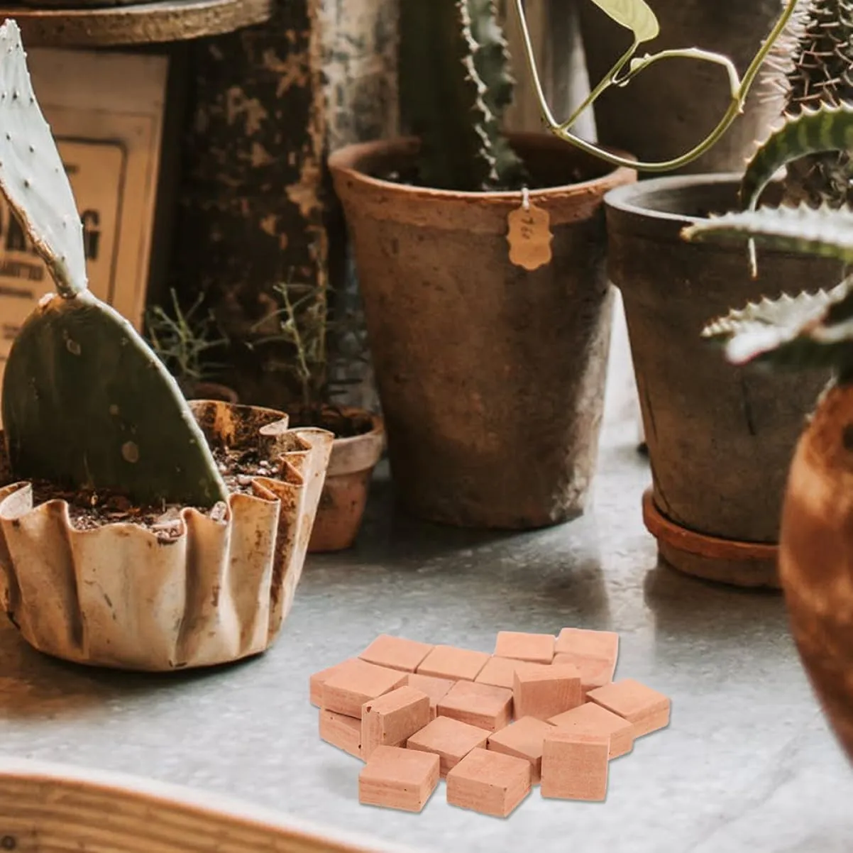 BESPORTBLE 5sets 40pcs Miniature Bricks for DIY Micro Landscape Decor Lightweight Building Blocks for Table Garden Models and Dollhouse Accessories 40pcs*5