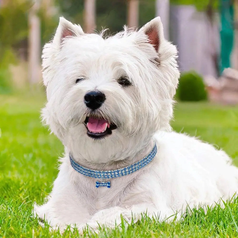 Bling Bling Pet Collar