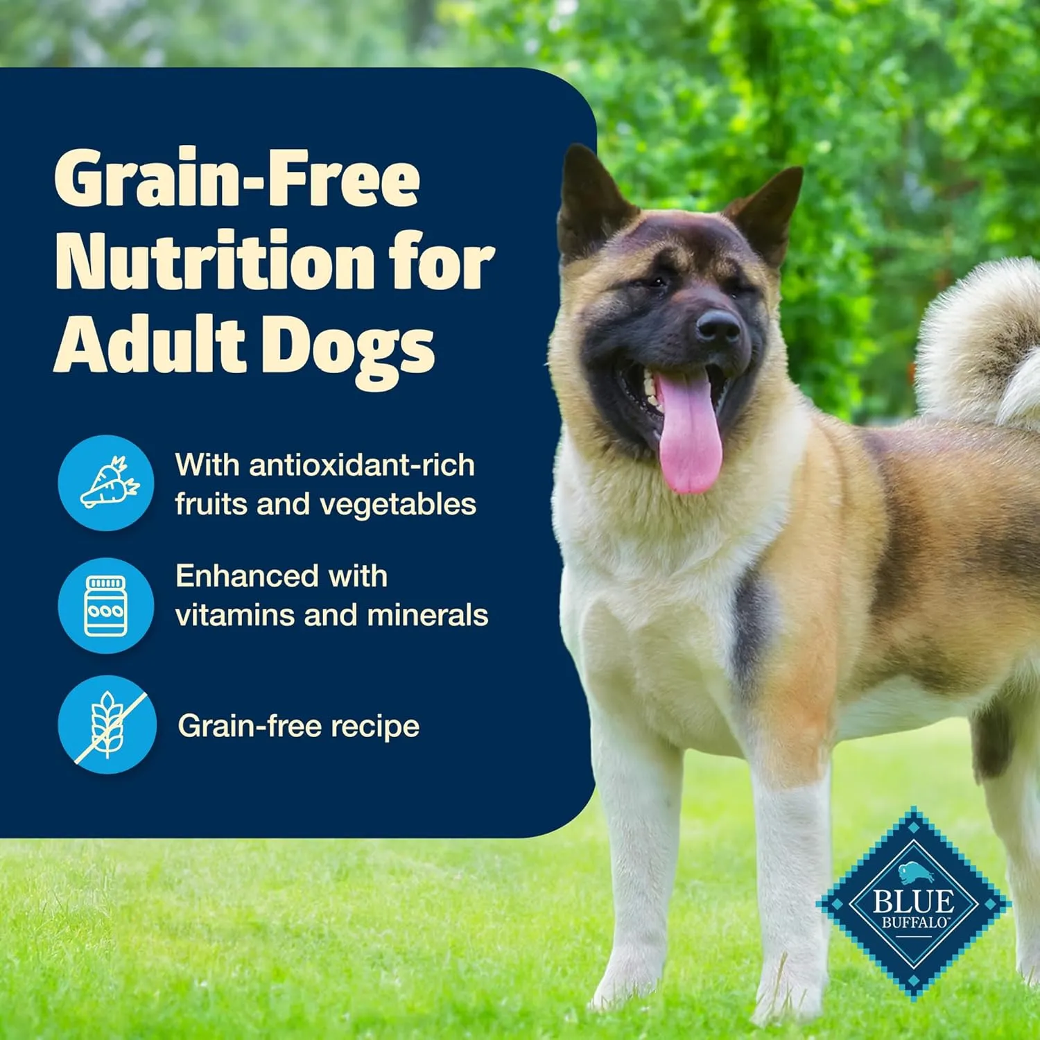 Blue Buffalo Freedom Grain-Free Wet Dog Food, Free of Glutens & Artificial Preservatives, Made with Natural Ingredients, Chicken Recipe, 12.5-oz. Cans (12 Count)