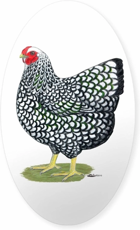 CafePress Wyandotte Silver Hen Oval Car Bumper Sticker(10-Pack)