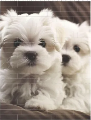 Cute Maltese Puppy Building Block Puzzle Personalized Building Bricks for Adults Square Shaped DIY Brick Block Puzzles Valentine's Day Gifts for Home Decor Brick Puzzle