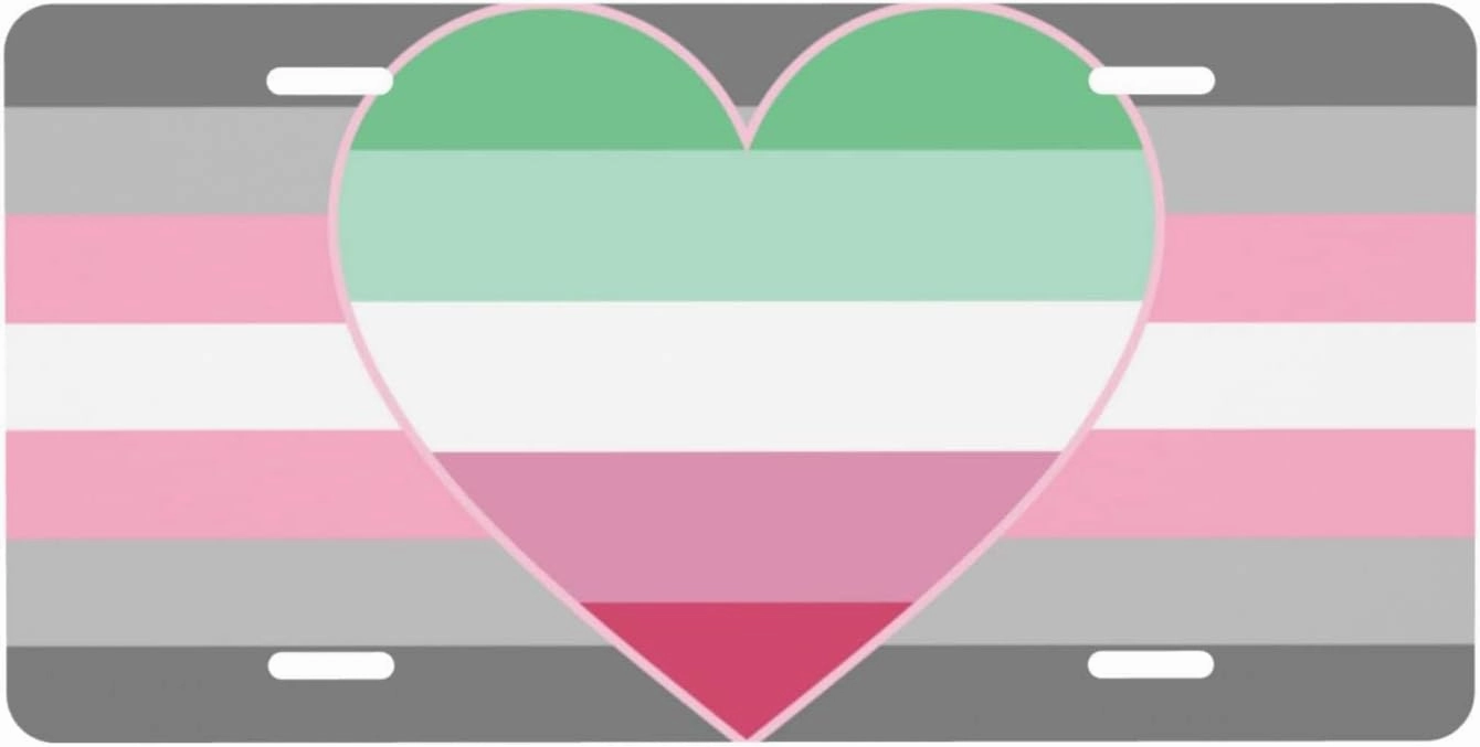 Demigirl Abro-Pride Flag LGBTQ License Plate Cover Decorative Front Aluminum Custom Frame for Men Women 6 X 12 Inch
