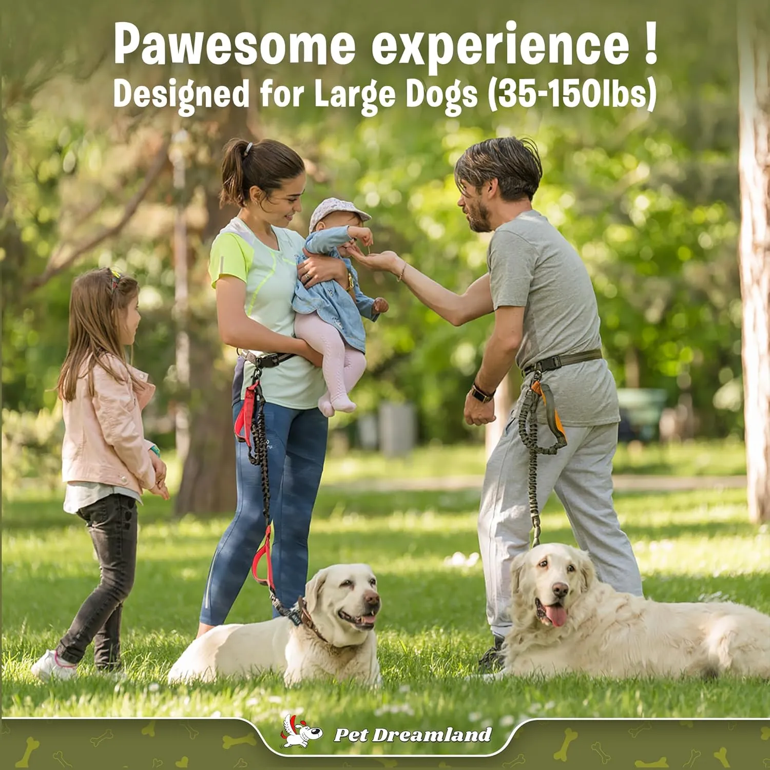 Exquisite Hands-Free Leash for Large Dogs: Ultimate Comfort & Freedom for Running, Walking, Hiking. Premium Quality, Durable & Versatile Waist Belt Leash. Your Dog Will Love It.