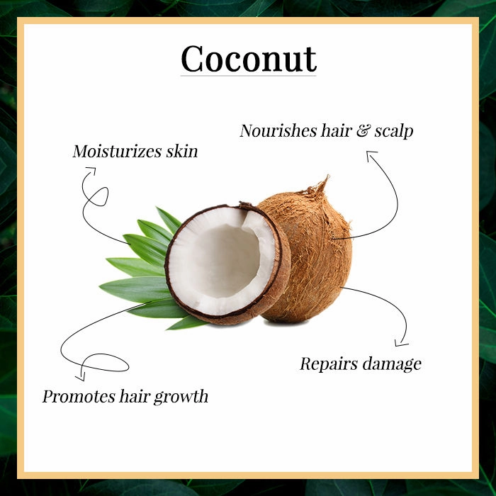 Good Vibes Coconut 100% Pure Coldpressed Carrier Oil | Hair Growth, Anti-Ageing, Hydrating | No Parabens, No Sulphates, No Mineral Oil (200 ml)
