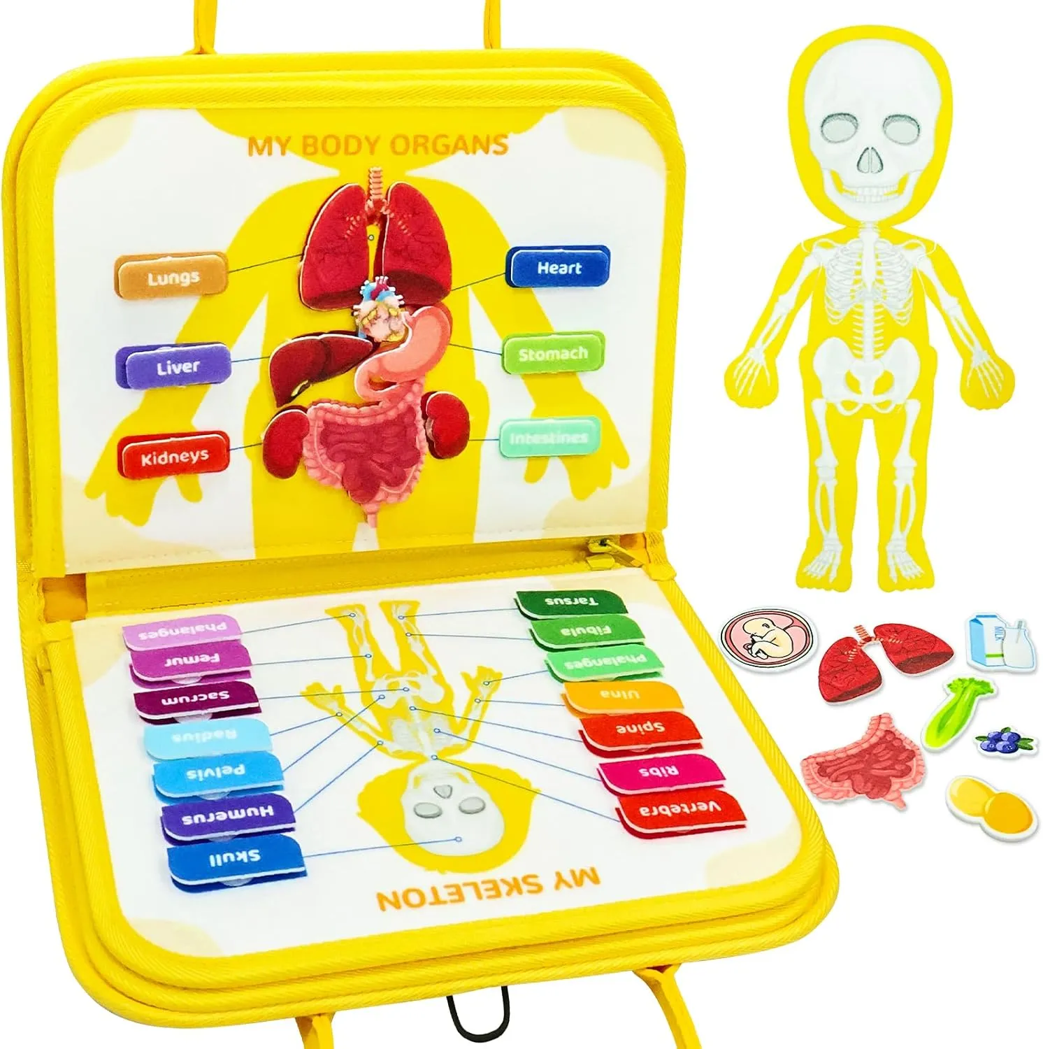 Human Body Anatomy Book for Toddlers, Preshool Montessori Learning Busy Board, Interactive Educational Activities Felt Busy Book, Travel Toys for Boys Girls Gifts with Box