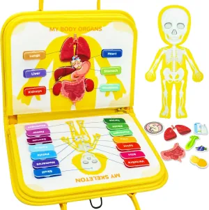 Human Body Anatomy Book for Toddlers, Preshool Montessori Learning Busy Board, Interactive Educational Activities Felt Busy Book, Travel Toys for Boys Girls Gifts with Box