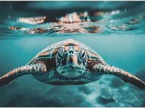 Jigsaw Puzzle Sea Turtles and Fish 500 Piece Family Game Night