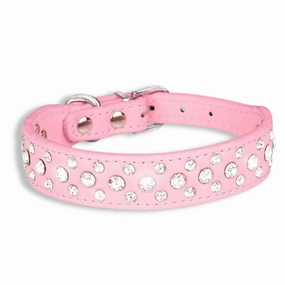 Leather Dog Collar