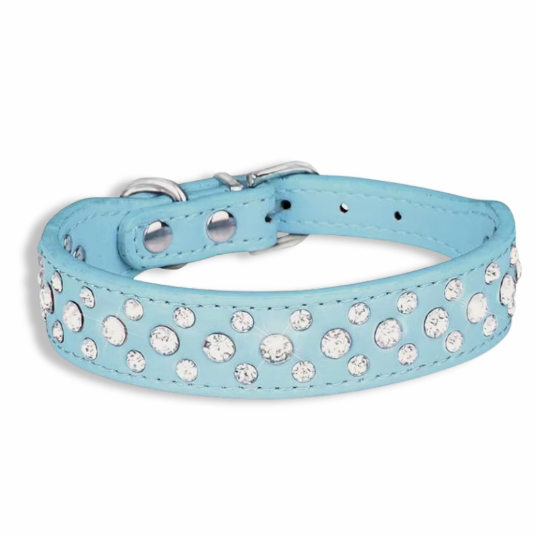 Leather Dog Collar