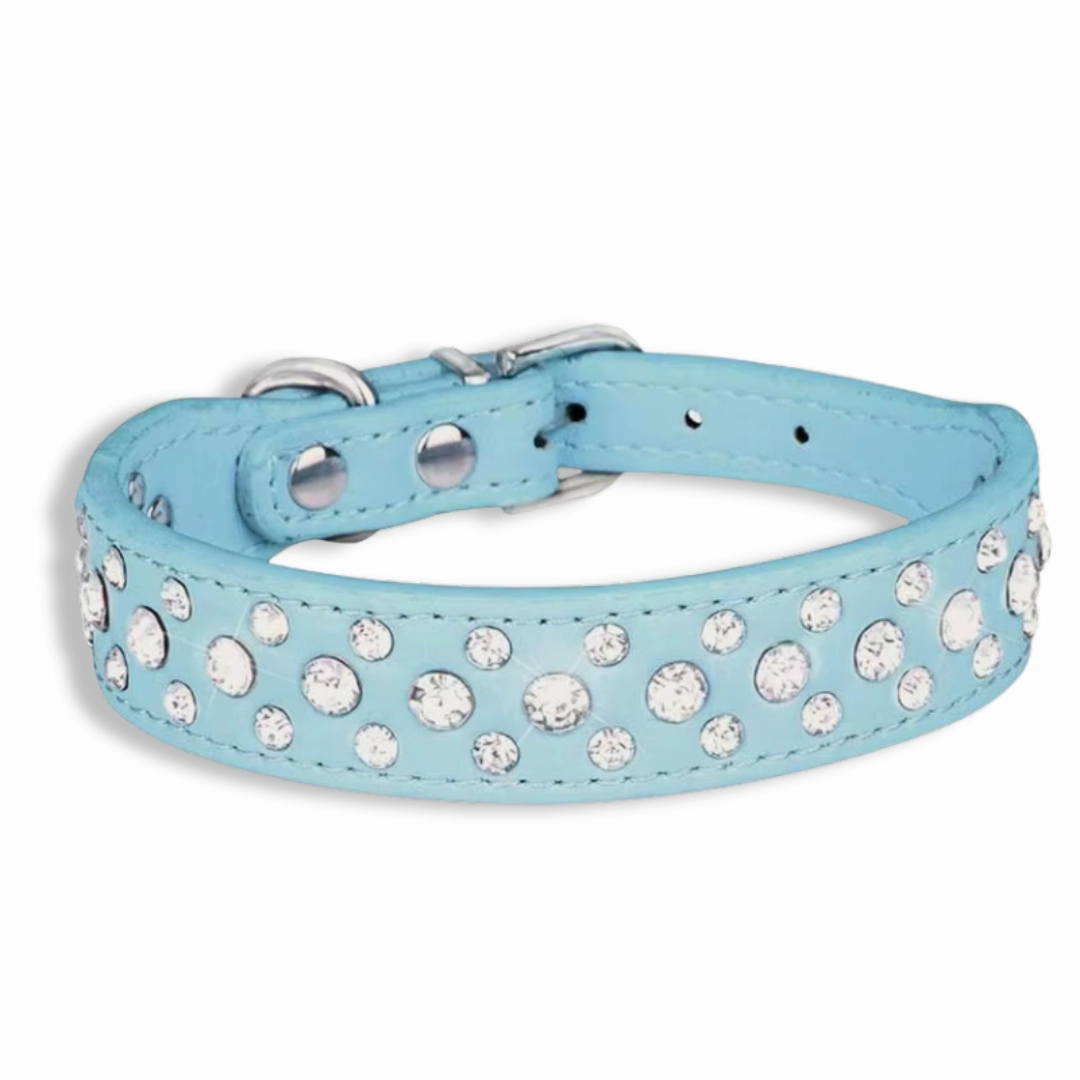 Leather Dog Collar