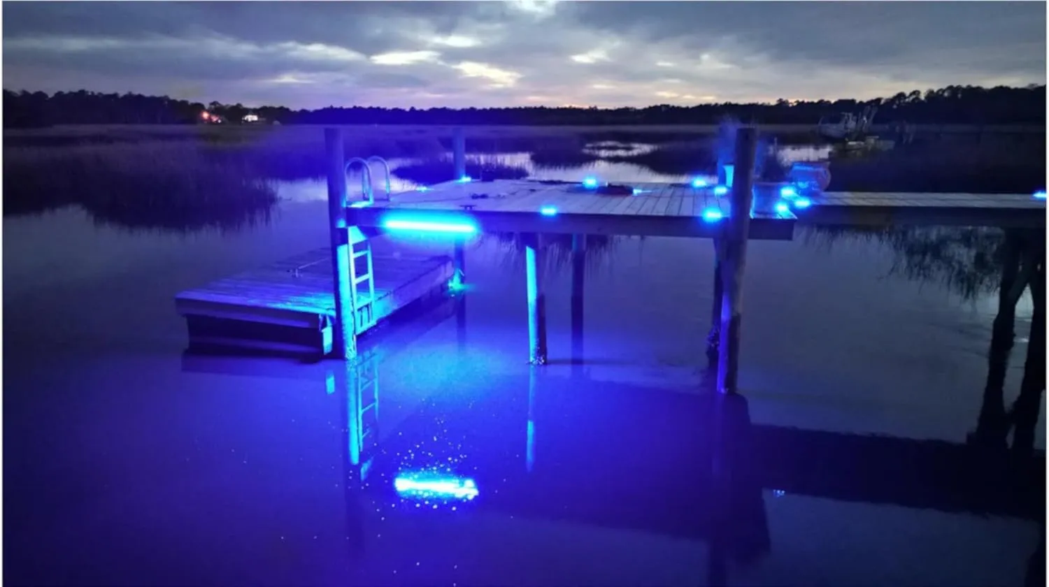 LED Dock Master Blue - Dock Mounted Fishing Light, 3,000 Lumen Output, 20-ft Waterproof Cord