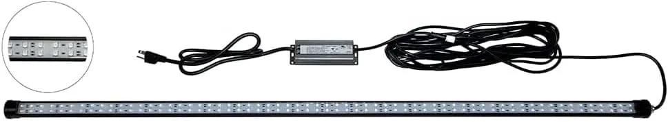 LED Dock Master Blue - Dock Mounted Fishing Light, 3,000 Lumen Output, 20-ft Waterproof Cord