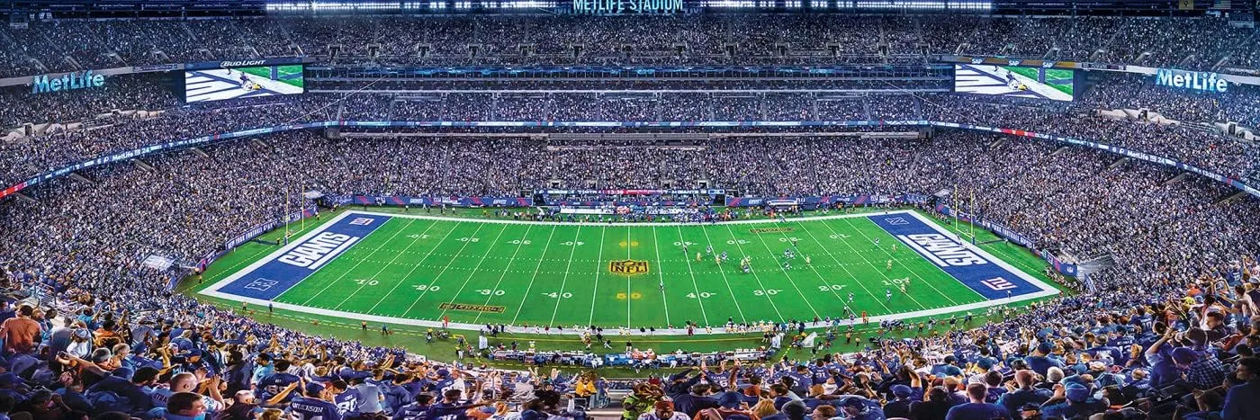 Masterpieces NFL Unisex Stadium Panoramic Jigsaw Puzzle, 1000-Piece