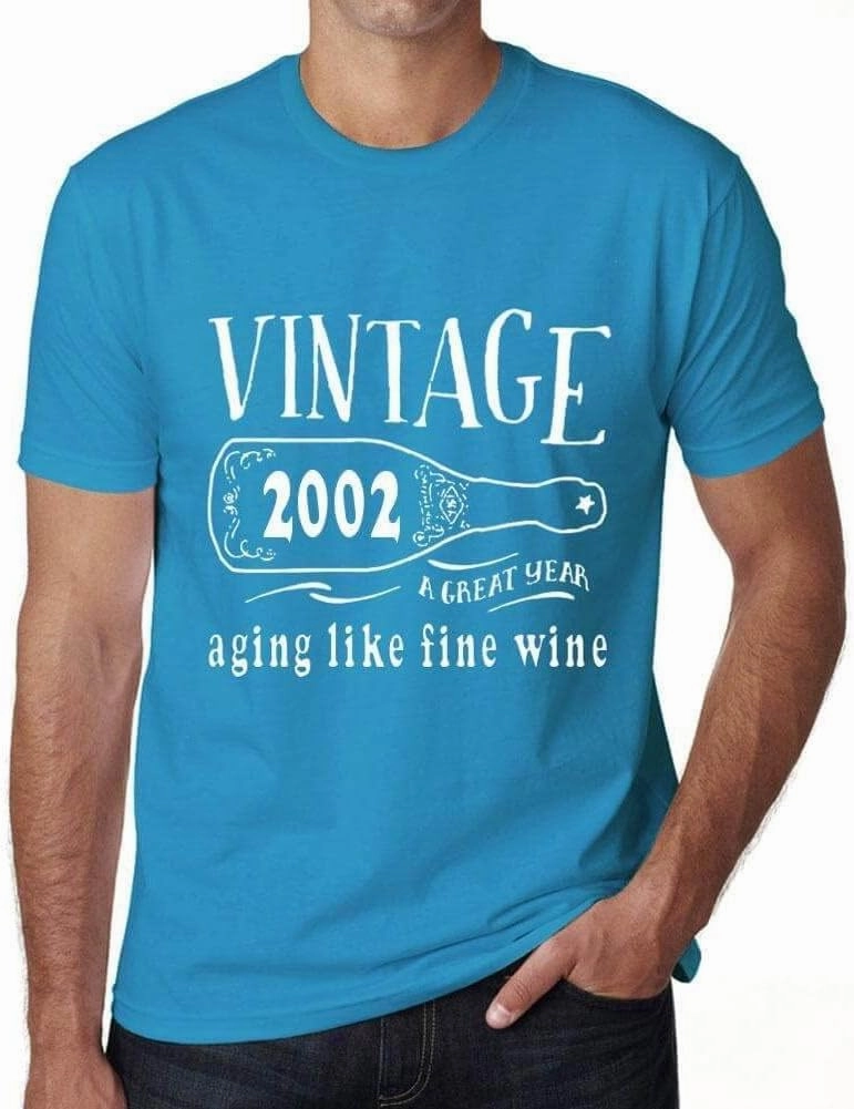 Men's Graphic T-Shirt Aging Like A Fine Wine 2002 22nd Birthday Anniversary 22 Year Old Gift 2002 Vintage Eco-Friendly Short Sleeve Novelty Tee Aqua XS