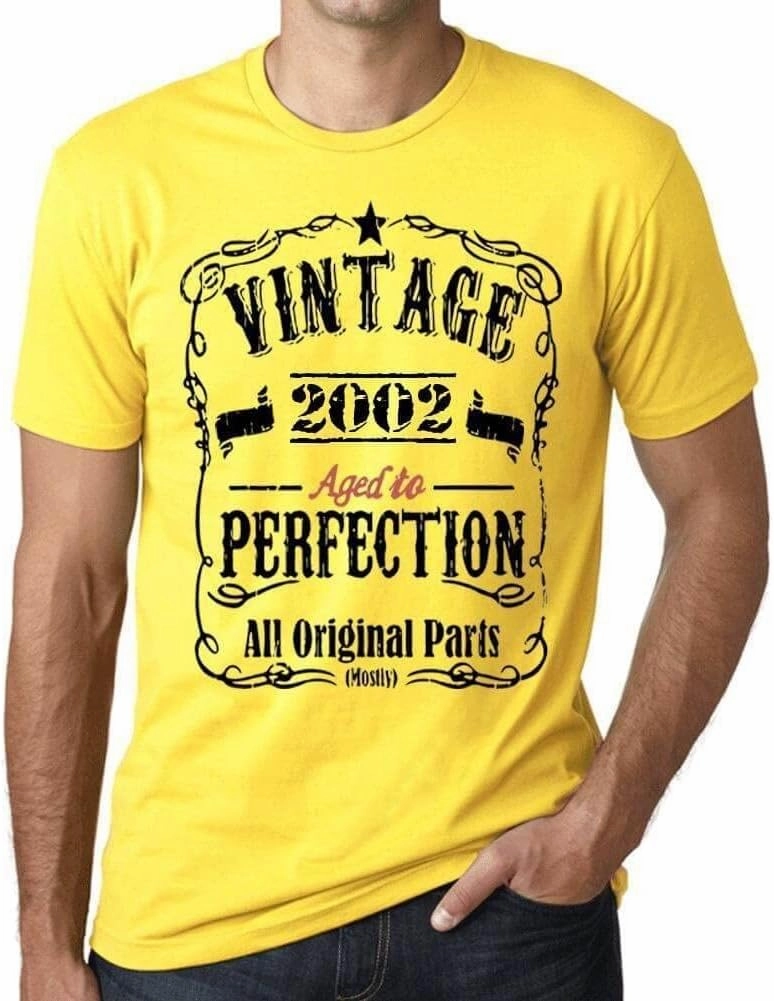 Men's Graphic T-Shirt All Original Parts Aged to Perfection 2002 22nd Birthday Anniversary 22 Year Old Gift 2002 Vintage Eco-Friendly Short Sleeve Novelty Tee Lemon XS