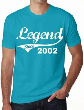 Men's Graphic T-Shirt Legend Since 2002 22nd Birthday Anniversary 22 Year Old Gift 2002 Vintage Eco-Friendly Short Sleeve Novelty Tee Aqua S