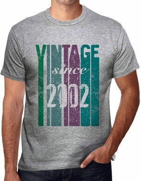 Men's Graphic T-Shirt Vintage Since 2002 22nd Birthday Anniversary 22 Year Old Gift 2002 Vintage Eco-Friendly
