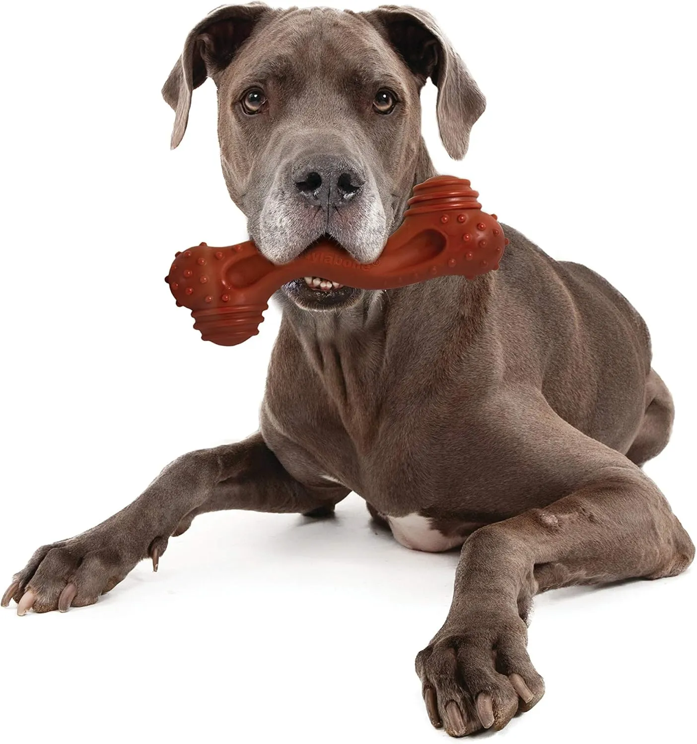 Nylabone Power Chew Monster Curve Bone Big Dog Chew Toy Curve Bison XX-Large/Monster (1 Count)