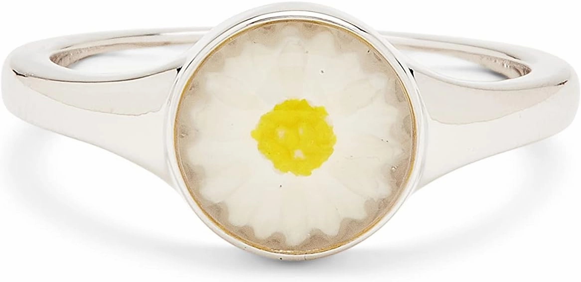 Pura Vida Silver-Plated Meadow Stackable Signet Ring - Brass Base, Stylish Design - Size 5-9