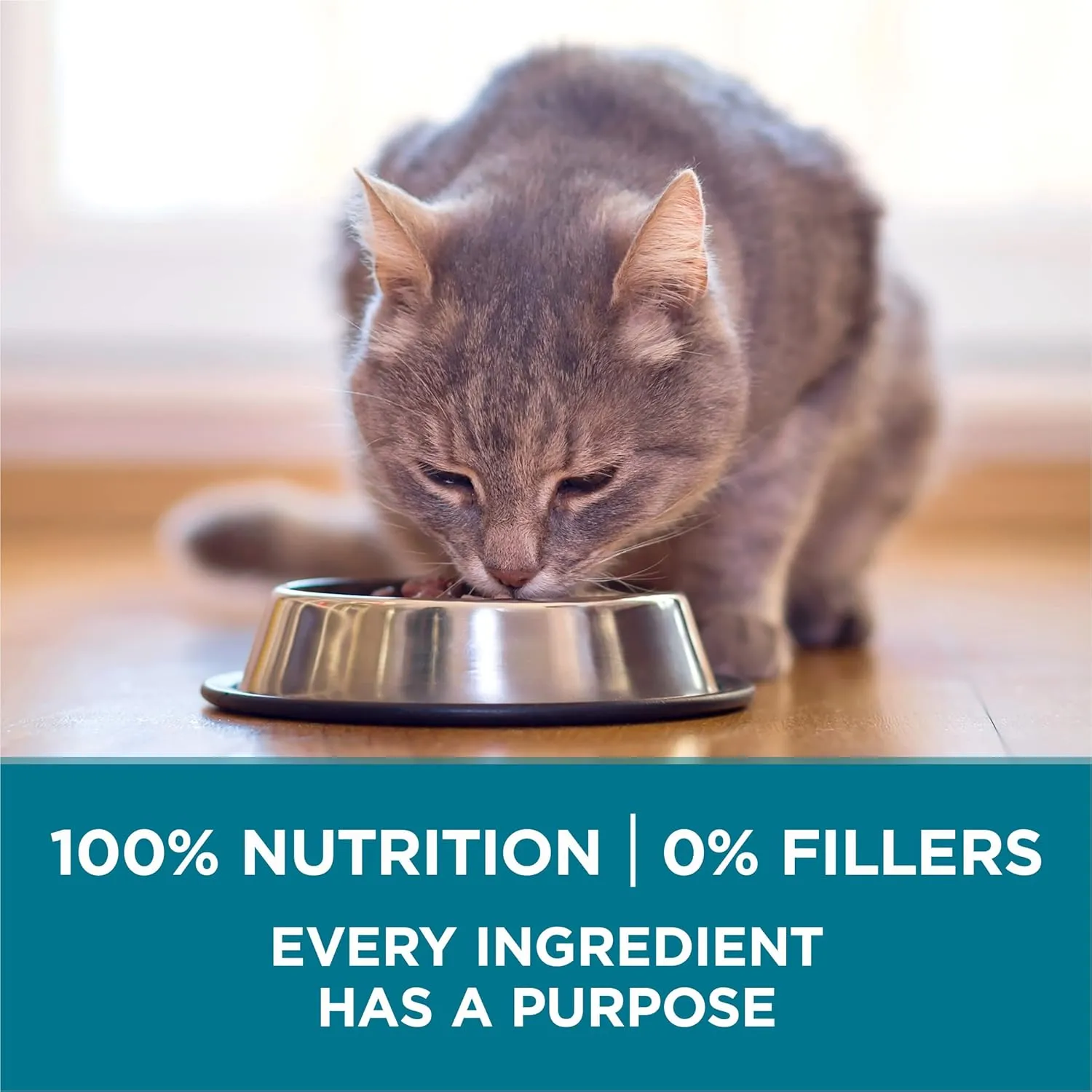 Purina ONE Natural Dry Cat Food, Tender Selects Blend With Real Chicken - 7 lb. Bag
