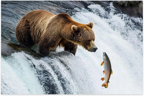 Puzzle Fun 1000 Pieces Catching Fish Waterfall Theme Wooden for Home Decor DIY Game Family Educational Games Toys Gifts Pieces