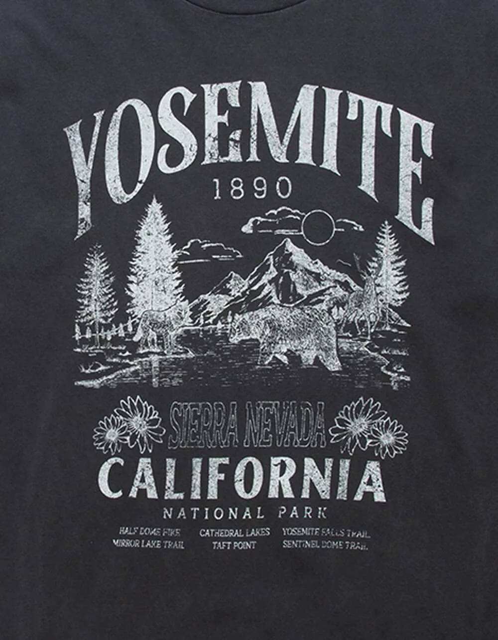 Rsq Yosemite National Park Mens Tee