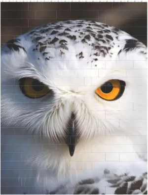 Snowy Owl Eyes Building Block Puzzle Personalized Building Bricks for Adults Square Shaped DIY Brick Block Puzzles Valentine's Day Gifts for Home Decor Brick Puzzle