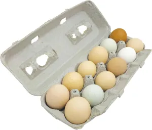 Stromberg's Large Blank Egg Cartons, Bulk Pack for Large Eggs, Perfect for Custom Branding, Safe & Secure Egg Storage, Convenient Stacking for Easy Transport, 125 Pack