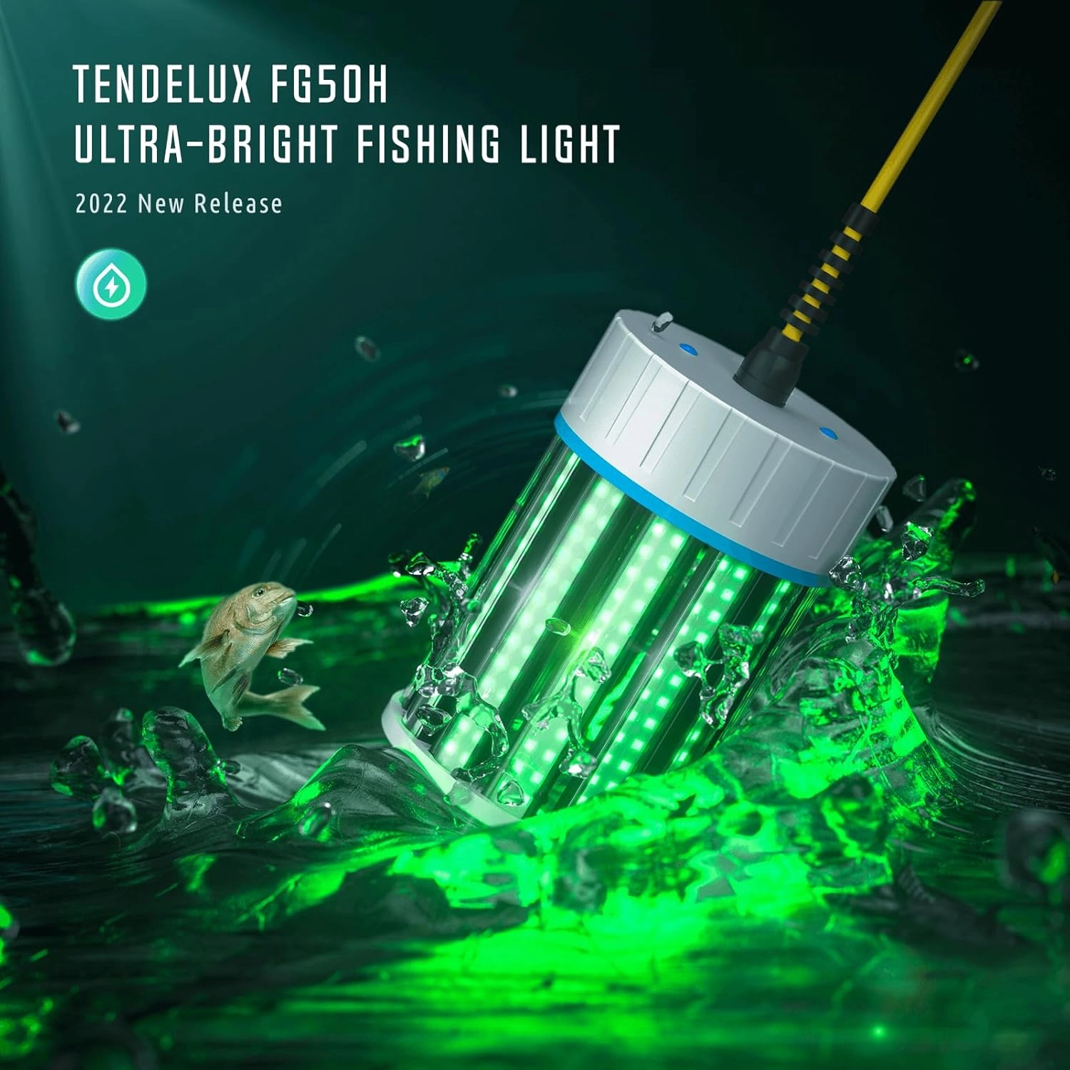 Ultra-Bright Underwater Fishing Light, 110V & 12V Green LED Submersible Light Attractants for Docks, Boats or Kayaks, IP68 Rated for Fresh & Salt Water (30ft Cable)