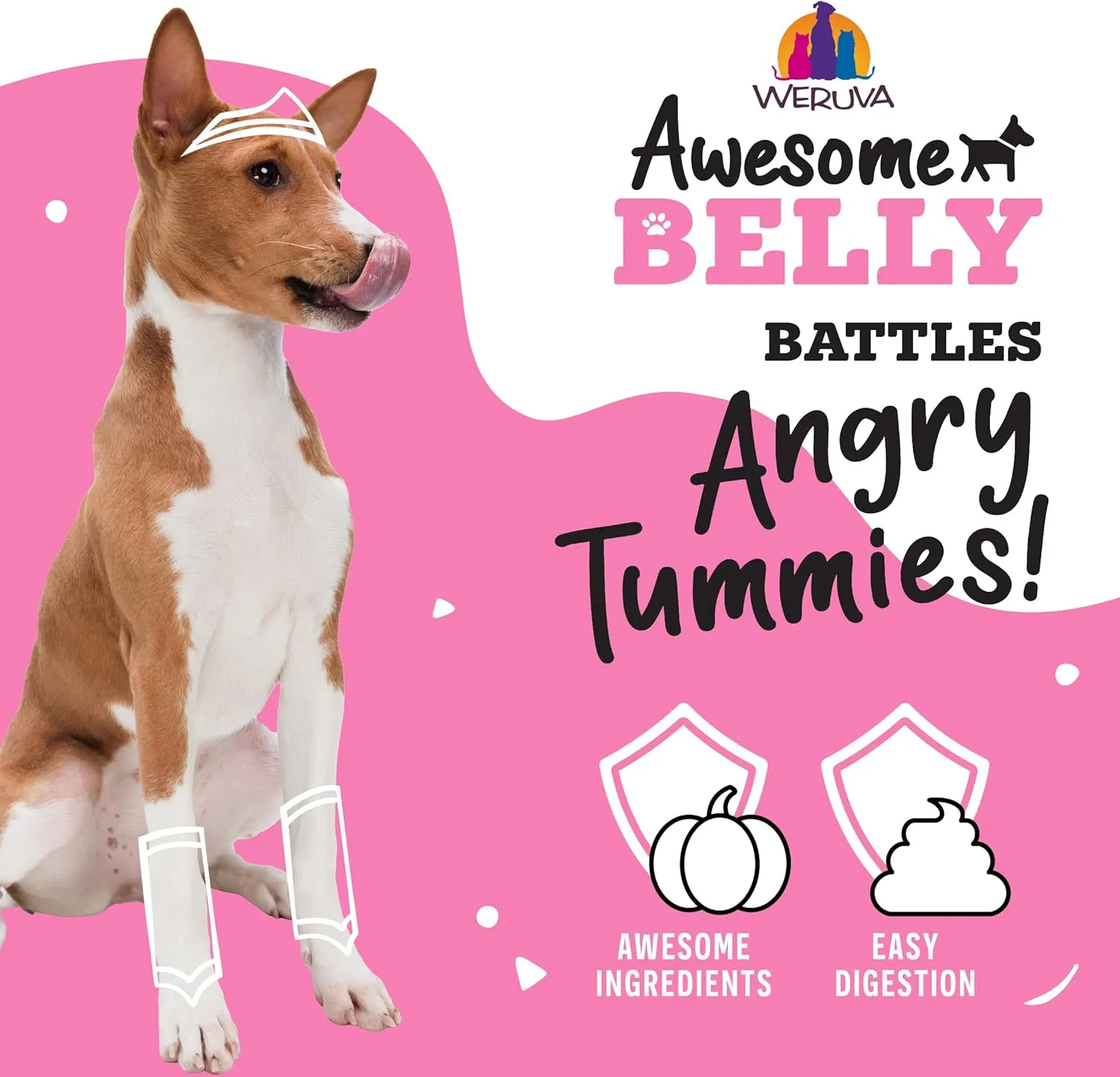Weruva Awesome Belly, Chicken, White Rice, & Pumpkin, 14oz Can (Pack of 10)